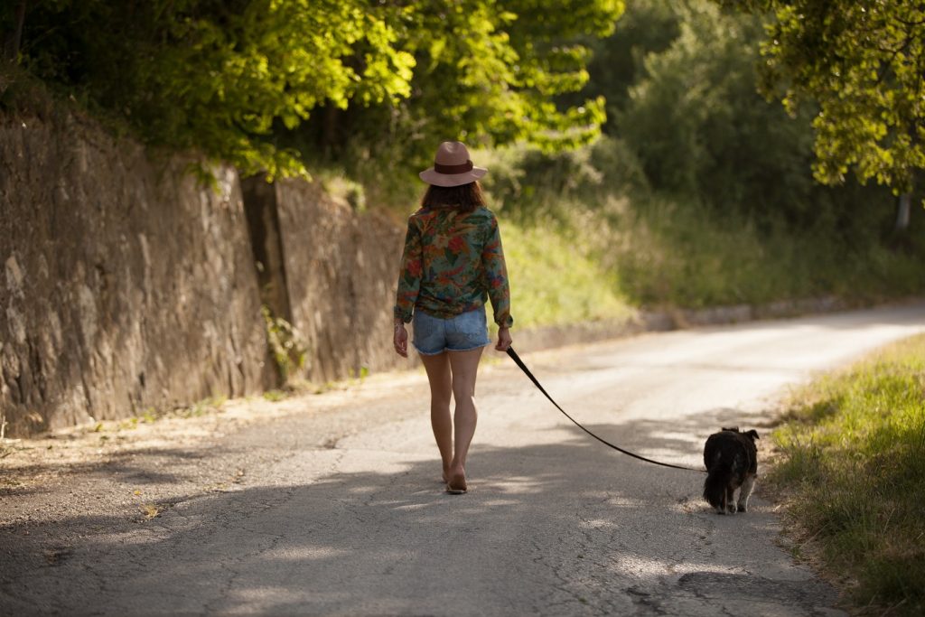 Your Tuscan Sunflower with Dundun, walking around a winding road in San Pietro in Valle